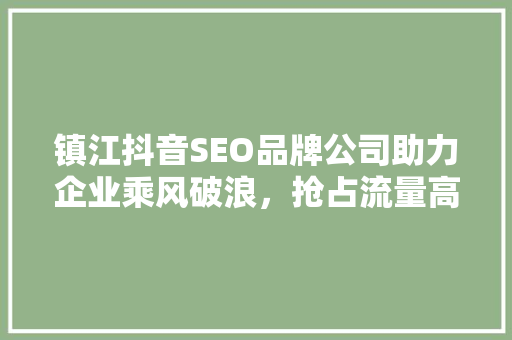 镇江抖音SEO品牌公司助力企业乘风破浪，抢占流量高地