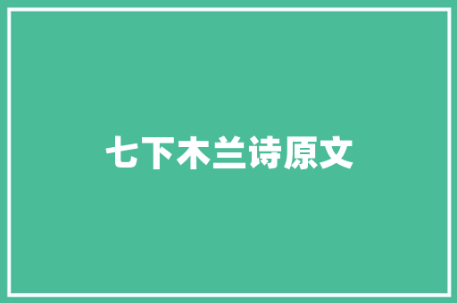 公交代码城市公共交通的智慧引擎