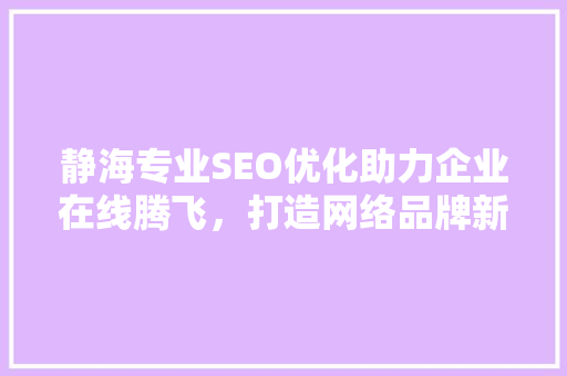 静海专业SEO优化助力企业在线腾飞，打造网络品牌新高度