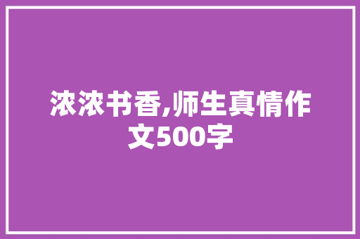 公式之美计算机编程中的逻辑与艺术