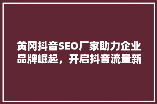 黄冈抖音SEO厂家助力企业品牌崛起，开启抖音流量新纪元