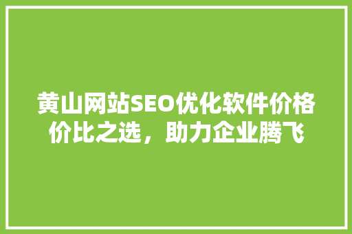 黄山网站SEO优化软件价格价比之选，助力企业腾飞  第1张