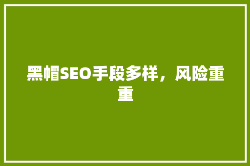 黑帽SEO手段多样，风险重重