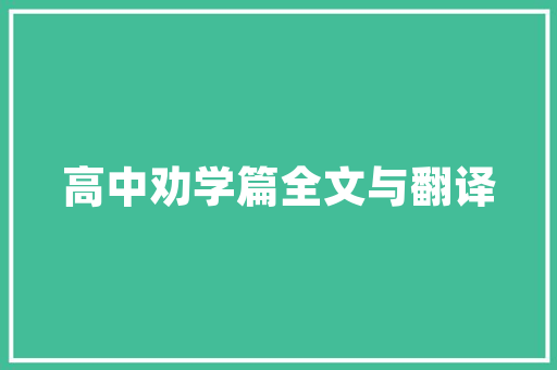 23火星鹤壁SEO公司的智慧选择，助力企业腾飞