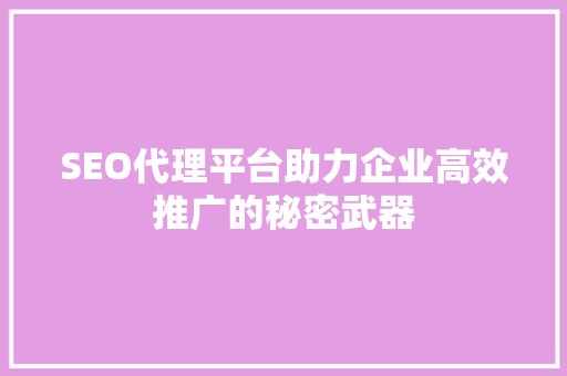 SEO代理平台助力企业高效推广的秘密武器