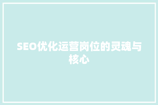 SEO优化运营岗位的灵魂与核心