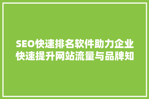 SEO快速排名软件助力企业快速提升网站流量与品牌知名度