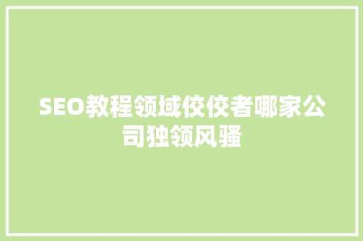 SEO教程领域佼佼者哪家公司独领风骚