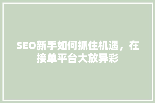 SEO新手如何抓住机遇，在接单平台大放异彩