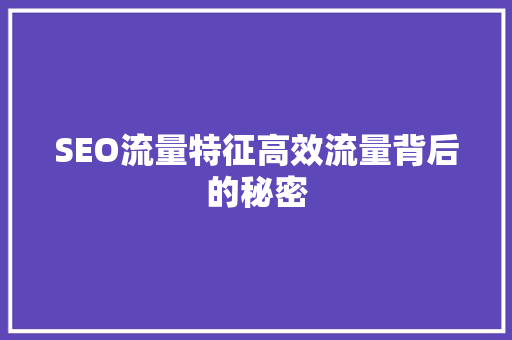 SEO流量特征高效流量背后的秘密