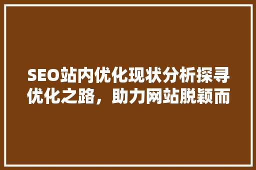 SEO站内优化现状分析探寻优化之路，助力网站脱颖而出