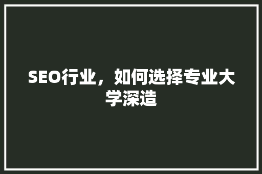 SEO行业，如何选择专业大学深造