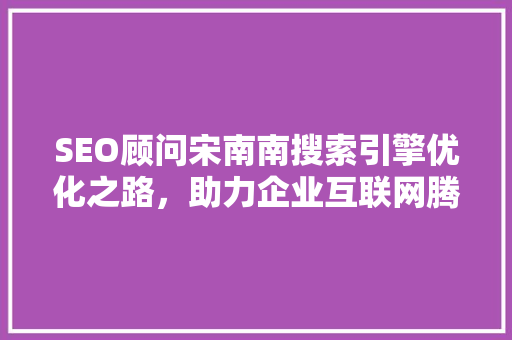 SEO顾问宋南南搜索引擎优化之路，助力企业互联网腾飞