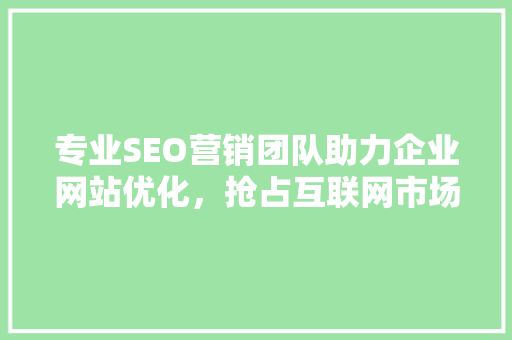 专业SEO营销团队助力企业网站优化，抢占互联网市场制高点  第1张