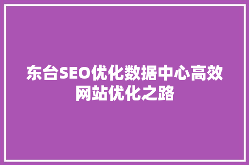 东台SEO优化数据中心高效网站优化之路