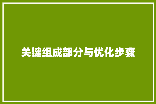 关键组成部分与优化步骤