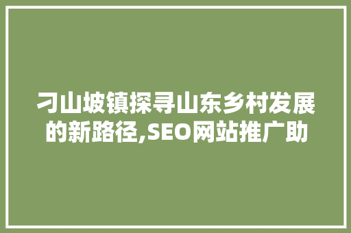刁山坡镇探寻山东乡村发展的新路径,SEO网站推广助力乡村振兴  第1张