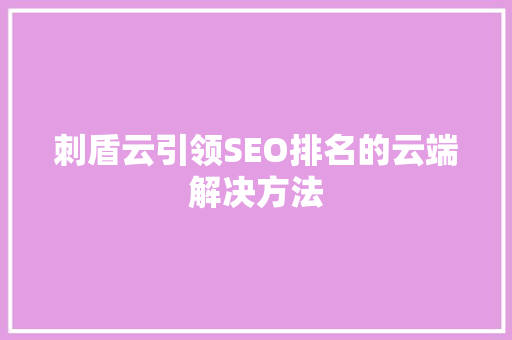 刺盾云引领SEO排名的云端解决方法
