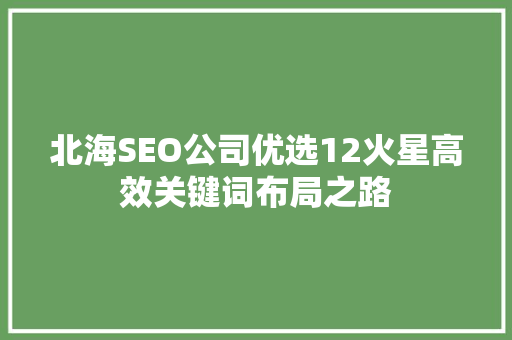 北海SEO公司优选12火星高效关键词布局之路