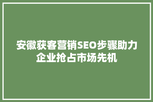 安徽获客营销SEO步骤助力企业抢占市场先机