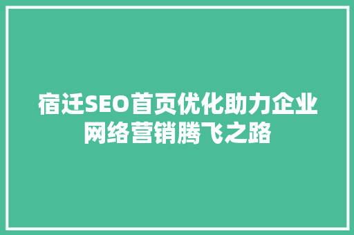 宿迁SEO首页优化助力企业网络营销腾飞之路