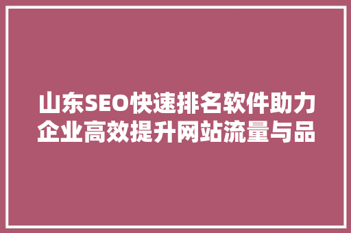 山东SEO快速排名软件助力企业高效提升网站流量与品牌知名度
