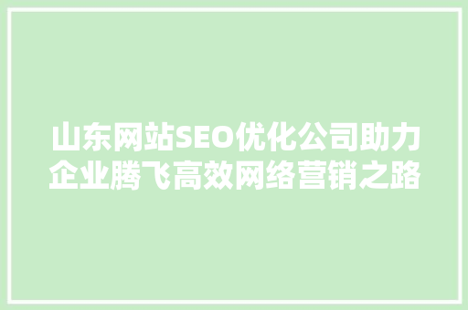 山东网站SEO优化公司助力企业腾飞高效网络营销之路