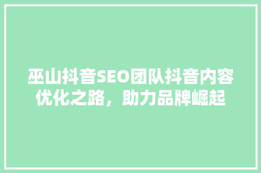 巫山抖音SEO团队抖音内容优化之路，助力品牌崛起