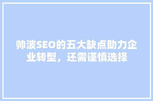 帅波SEO的五大缺点助力企业转型，还需谨慎选择