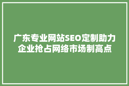 广东专业网站SEO定制助力企业抢占网络市场制高点