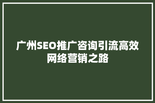 广州SEO推广咨询引流高效网络营销之路
