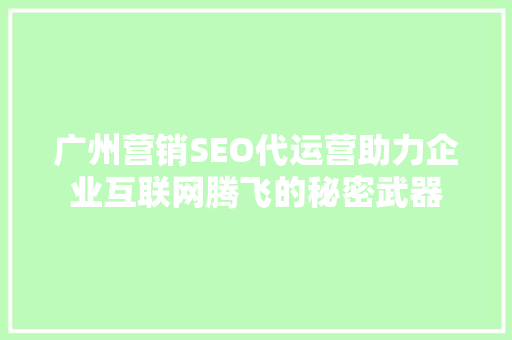 广州营销SEO代运营助力企业互联网腾飞的秘密武器