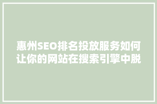 惠州SEO排名投放服务如何让你的网站在搜索引擎中脱颖而出
