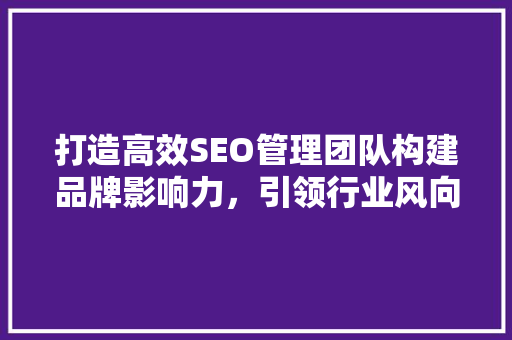 打造高效SEO管理团队构建品牌影响力，引领行业风向标