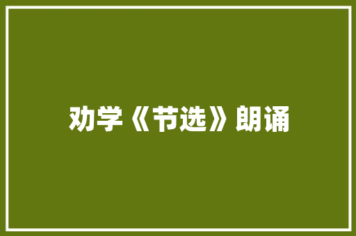 IT时代下的编程艺术探索编程代码的奥秘