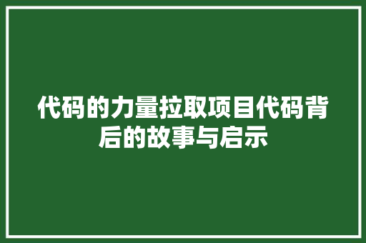 代码的力量拉取项目代码背后的故事与启示
