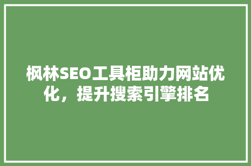 枫林SEO工具柜助力网站优化，提升搜索引擎排名