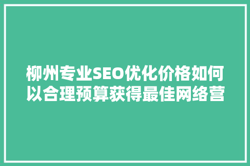 柳州专业SEO优化价格如何以合理预算获得最佳网络营销效果