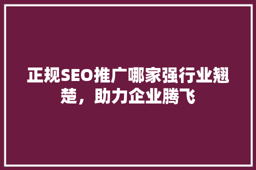 正规SEO推广哪家强行业翘楚，助力企业腾飞