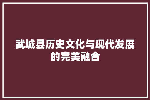 武城县历史文化与现代发展的完美融合