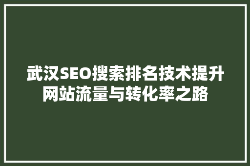 武汉SEO搜索排名技术提升网站流量与转化率之路