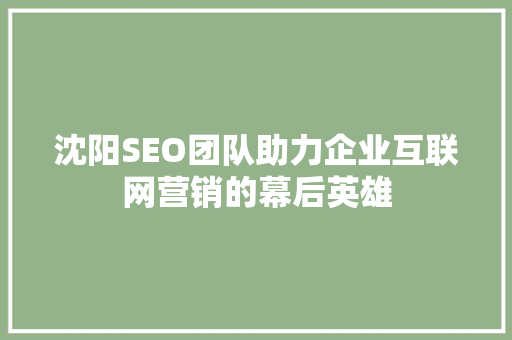 沈阳SEO团队助力企业互联网营销的幕后英雄