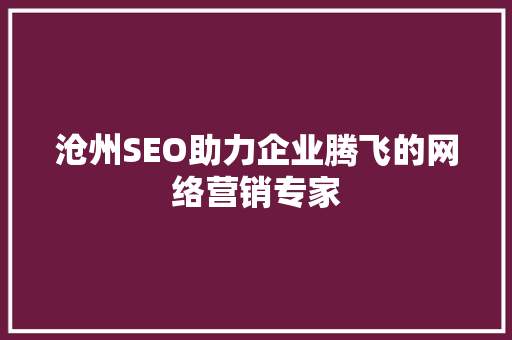 沧州SEO助力企业腾飞的网络营销专家