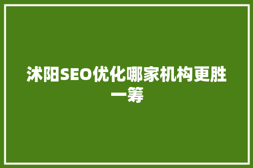 沭阳SEO优化哪家机构更胜一筹