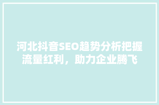 河北抖音SEO趋势分析把握流量红利，助力企业腾飞