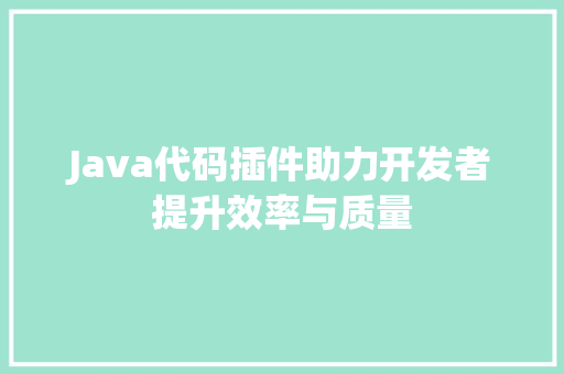Java代码插件助力开发者提升效率与质量