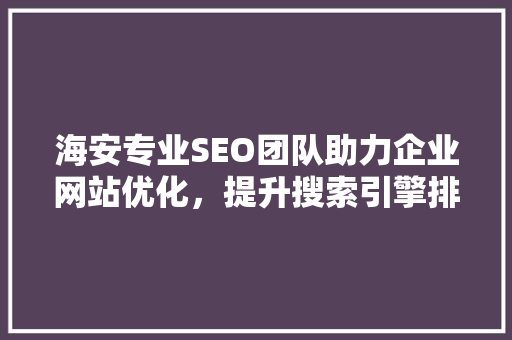 海安专业SEO团队助力企业网站优化，提升搜索引擎排名