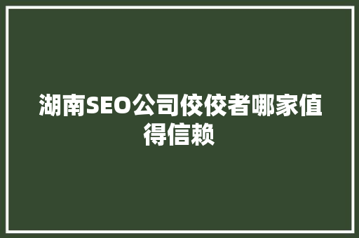 湖南SEO公司佼佼者哪家值得信赖