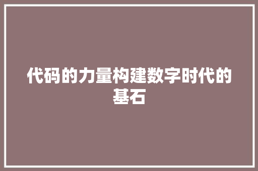 代码的力量构建数字时代的基石
