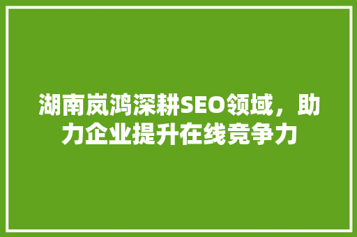 湖南岚鸿深耕SEO领域，助力企业提升在线竞争力
